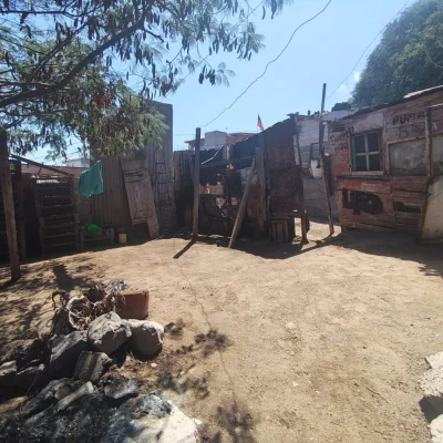 WhatsApp Image 2026-04-15 at 11.11.28-3